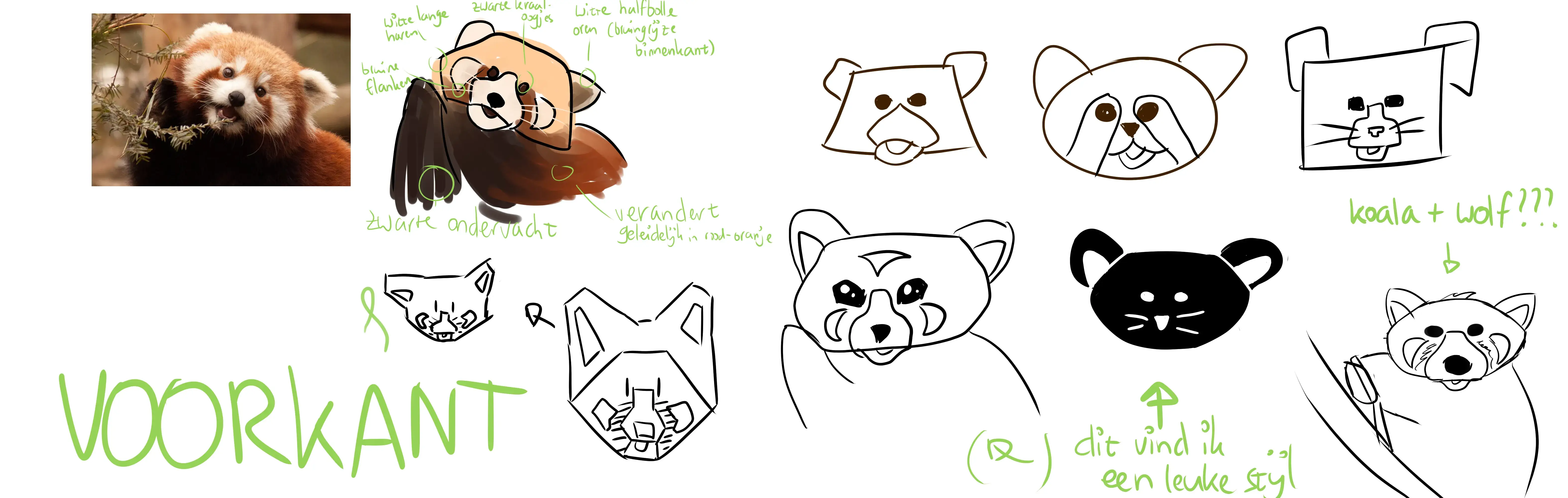 Rode pandas voorkanten Rode pandas voorkanten