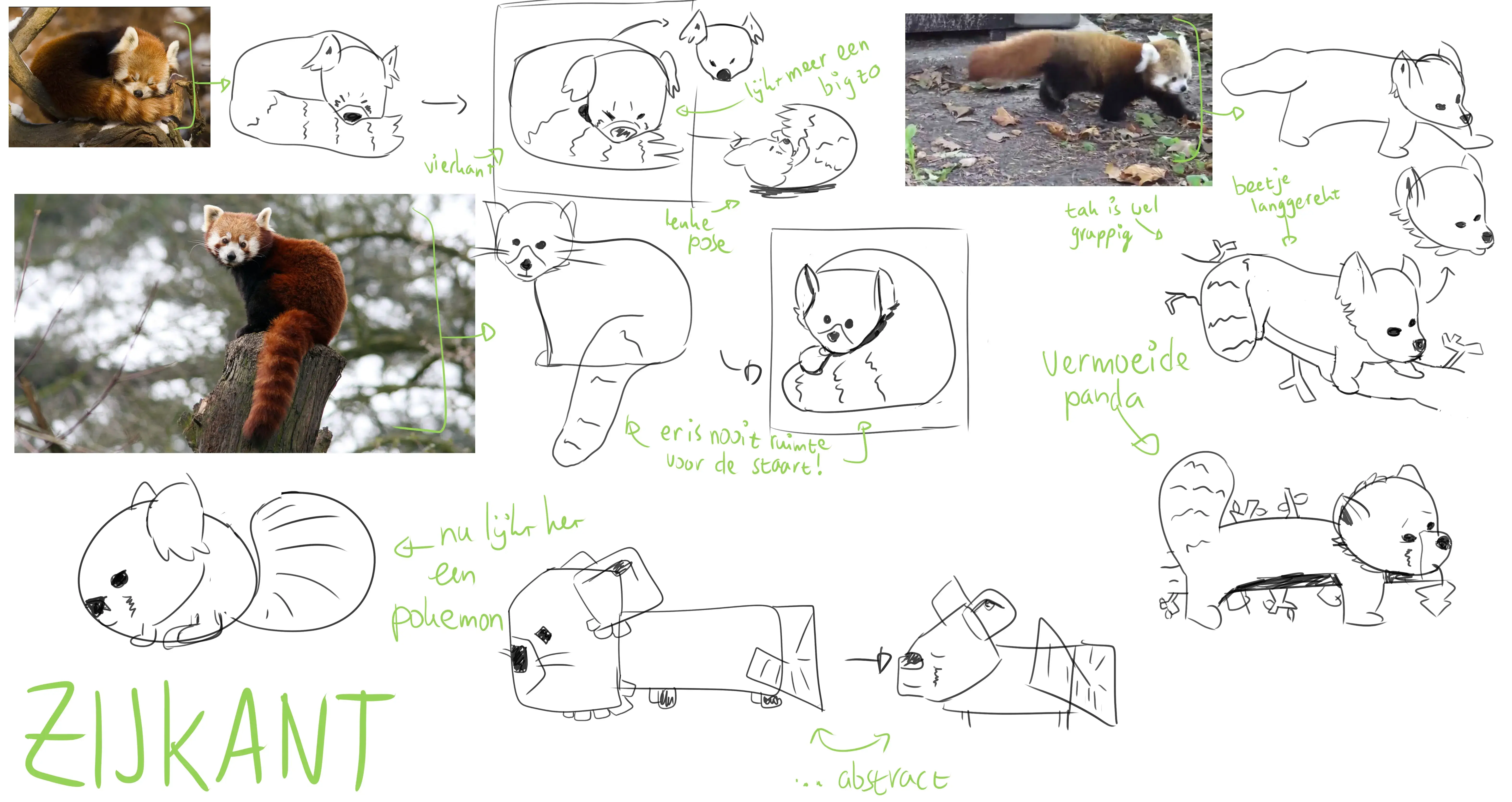 Rode pandas zijkanten Rode pandas zijkanten