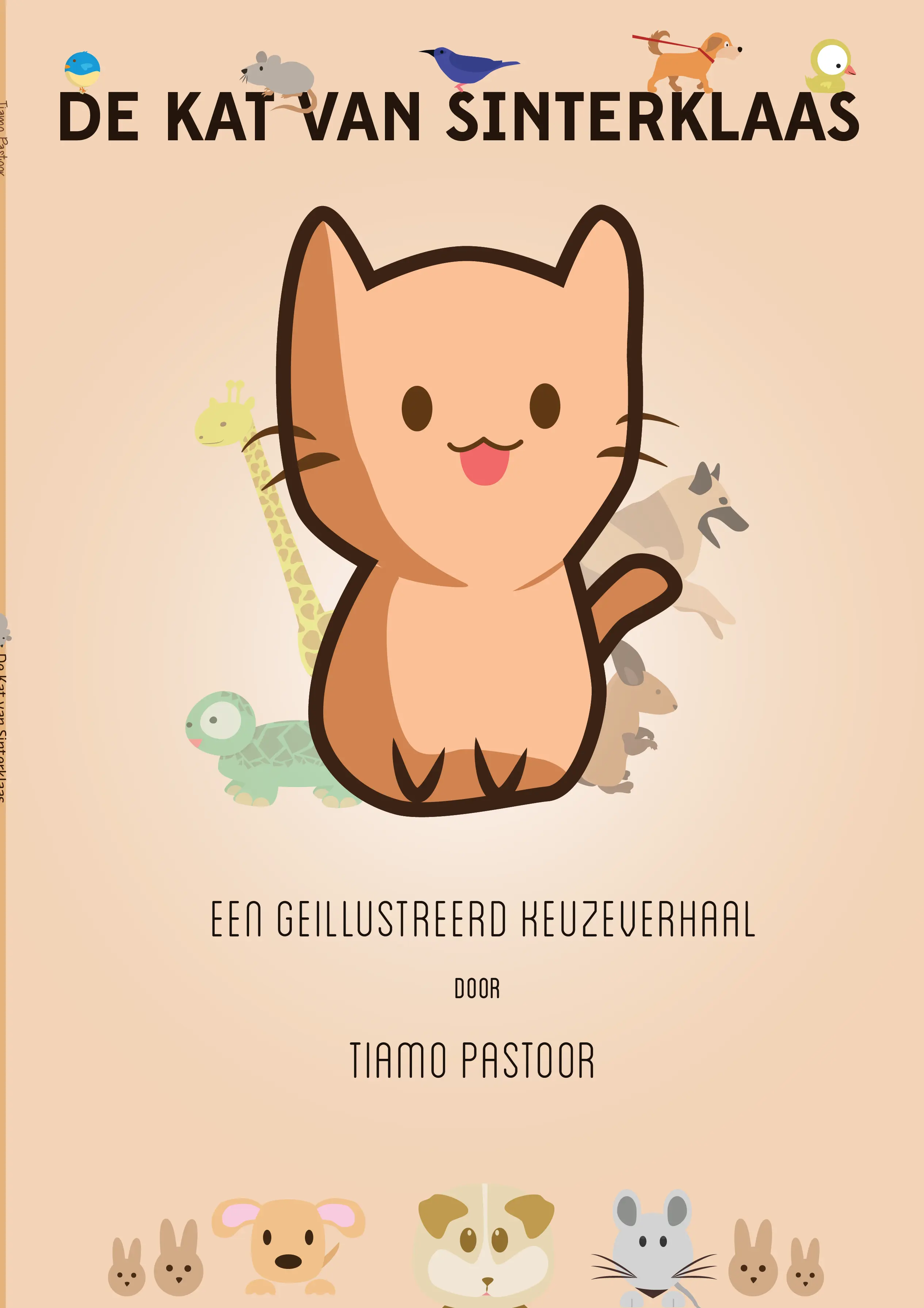 Header / Cover Image for 'De Kat van Sinterklaas'