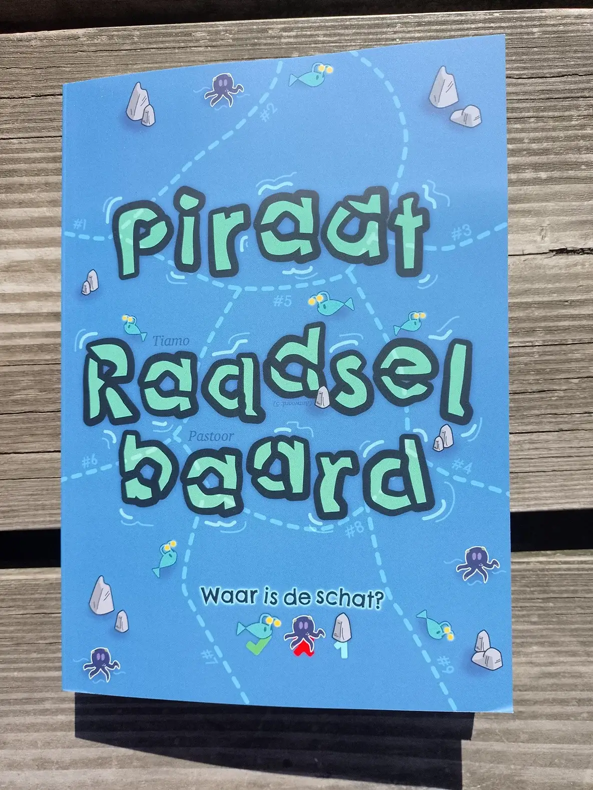Piraat raadselbaard cover